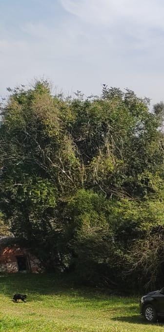 Sítio Parobé RS - Vista principal